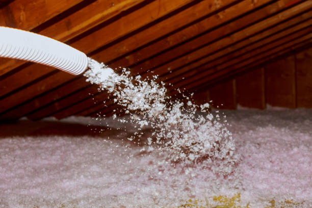 Best Spray Foam Insulation in Folsom, CA